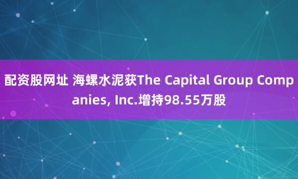 配资股网址 海螺水泥获The Capital Group Companies, Inc.增持98.55万股