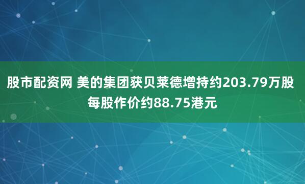 股市配资网 美的集团获贝莱德增持约203.79万股 每股作价约88.75港元